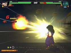 Dragon Ball Z : Budokai Tenkaichi 3 - 22