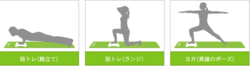 Wii Fit Mat - 1