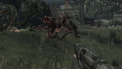 Turok 8