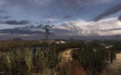 S.T.A.L.K.E.R. : Clear Sky - 1