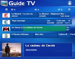 tv_grille