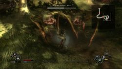 Kingdom Under Fire Circle of Doom 2