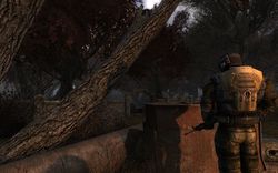 STALKER Clear Sky - Image 17