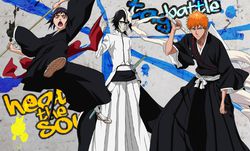 Bleach Heat the Soul 5 - Artwork