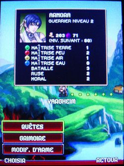 Puzzle Quest 05