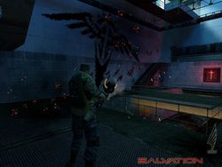 Salvation - Image 6