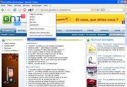 eBay Firefox 5