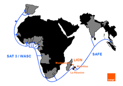 Orange_cable_lion