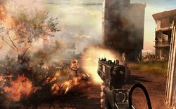 Far Cry 2 (3)