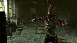 Fallout 3 - Image 23