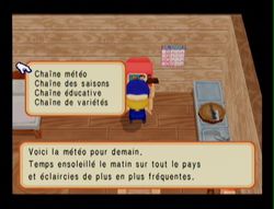 Harvest Moon Magical melody (9)