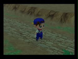 Harvest Moon Magical melody (1)