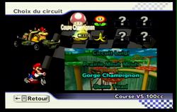 Mario Kart Wii (4)