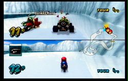 Mario Kart Wii (21)