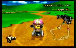 Mario Kart Wii (33)