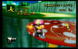 Mario Kart Wii (36)