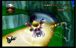 Mario Kart Wii (37)