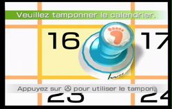 Wii Fit (9)