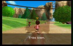 Wii Fit (38)