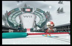 Wii Fit (45)