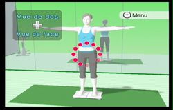 Wii Fit (60)
