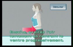 Wii Fit (66)
