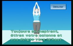 Wii Fit (68)