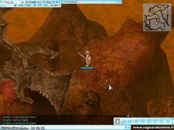 Ragnarok Online (4)