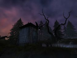 test dracula 3 la voie du dragon image (26)