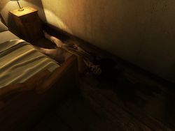 test dracula 3 la voie du dragon image (53)