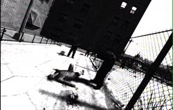 GTA 4 (27)