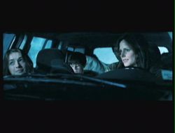 Les chroniques de Spiderwick (5)