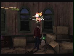 Les chroniques de Spiderwick (9)