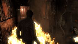 Alone in the Dark (11)
