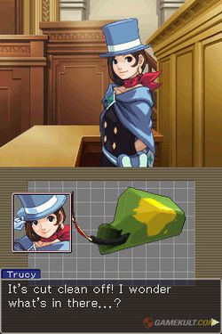 Apollo Justice 1 (8)