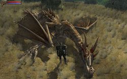 Two Worlds Epic Edition - Image 2