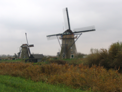 IMG_3620bis
