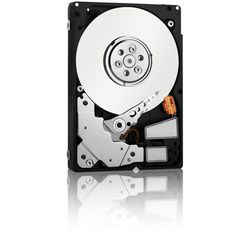 WD3000BLFS