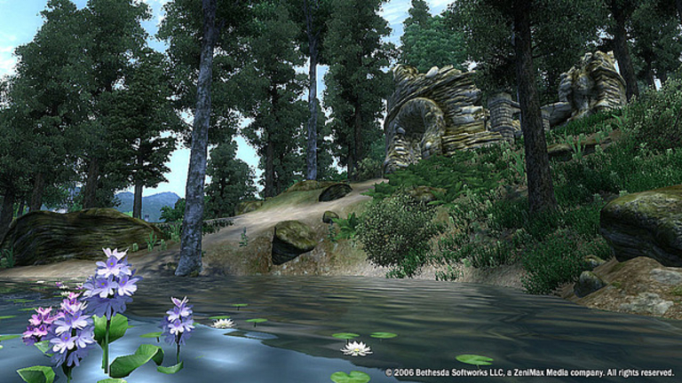 The Elder Scrolls IV : Oblivion