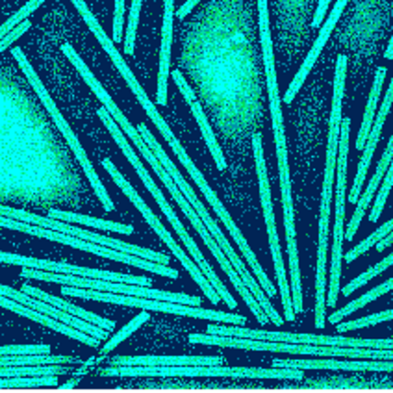 virus mosaïque tabac 2