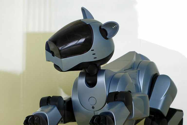 Aibo