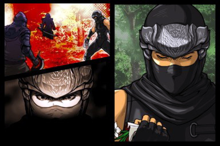 Ninja Gaiden : Dragon Sword - Image 1