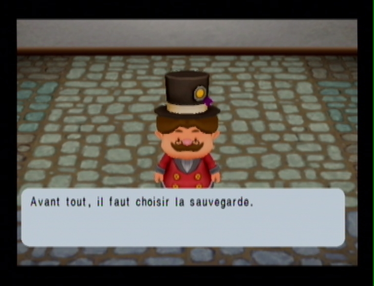 Harvest Moon Magical melody (14)