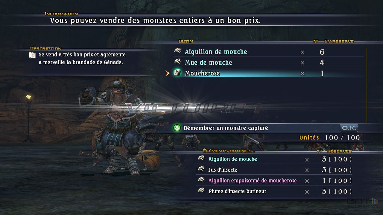 The Last Remnant PC - Image 9
