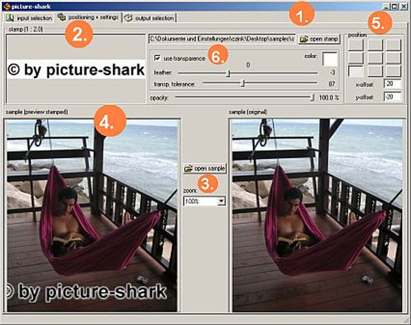 Picture-shark screen 1