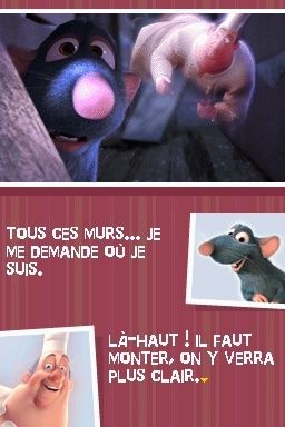 Ratatouille DS (4)