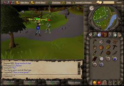 runescape