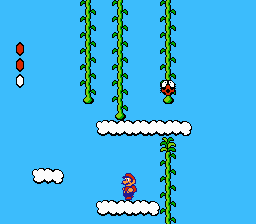 Super Mario Bros. 2   Image 5