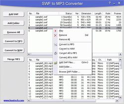 SWF to MP3 Converter screen 2