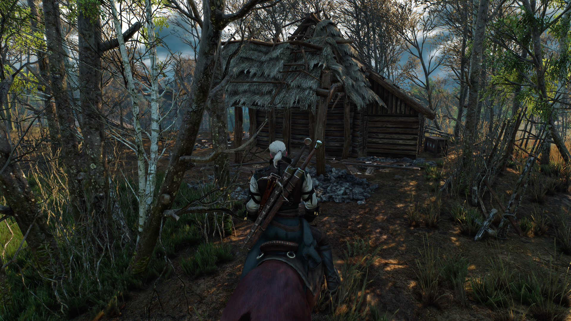 The Witcher 3 - 3